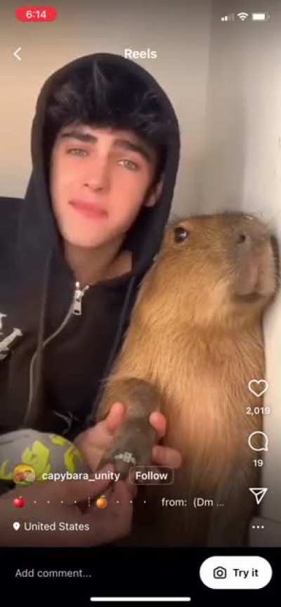 Blursed relationship