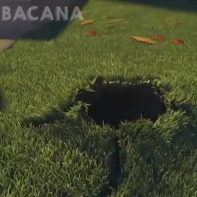 Aaaa