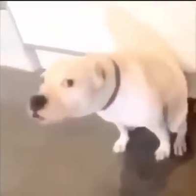 Buenas tardes