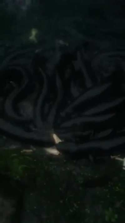 * Mete la mano al agua *