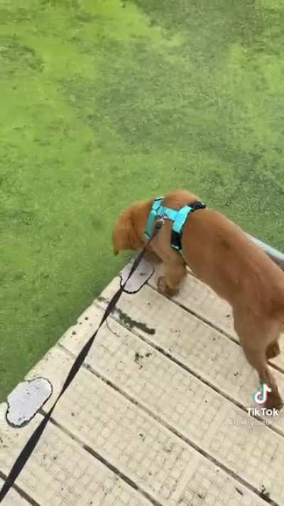 &ldquo;One day this thing will fall&rdquo;