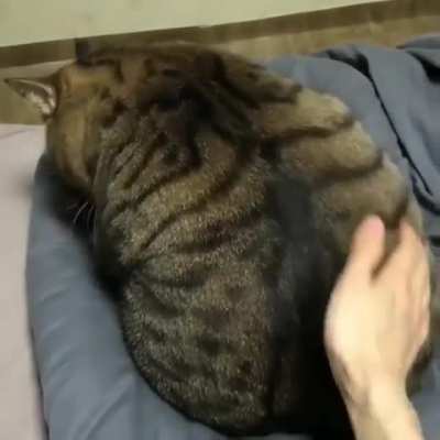 "I AM in shape. Round is a shape."