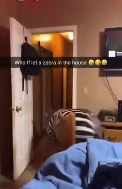 Who??
