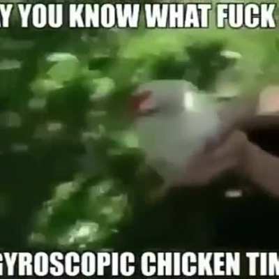 pollo bailando