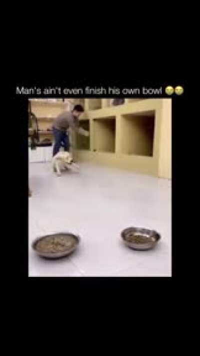 I&rsquo;m dying 🤣🤣🤣🤣