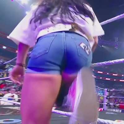 AJ Lee