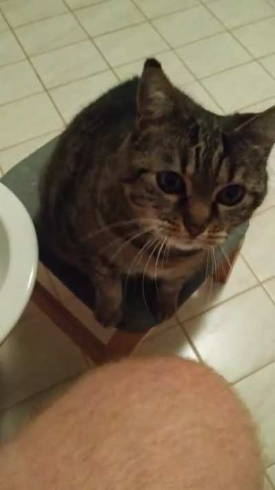 Touchy da leg