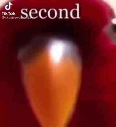 ._.
