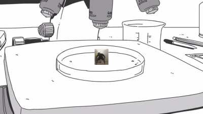 I&rsquo;m not sure what to title this