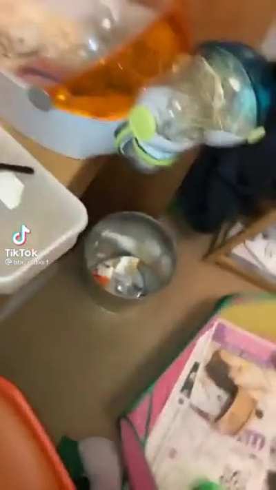 Hampster Truco xD