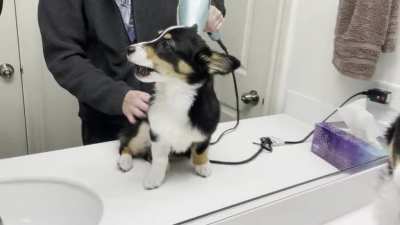 After getting dirty outside, Penny got an in-home spa day