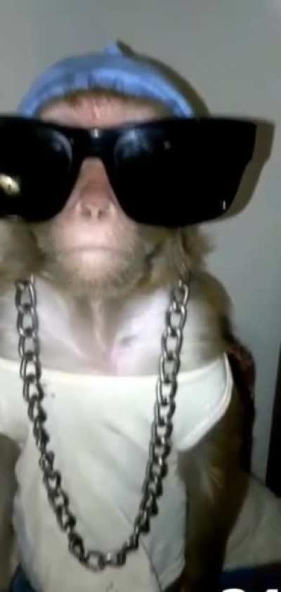 Illo, que flow se carga el Orson no?