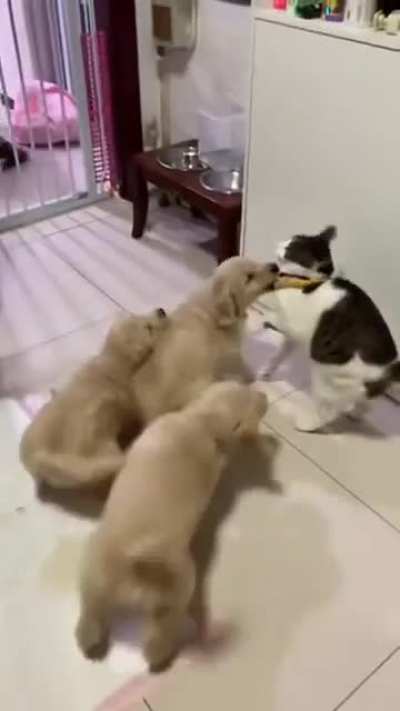Too much love