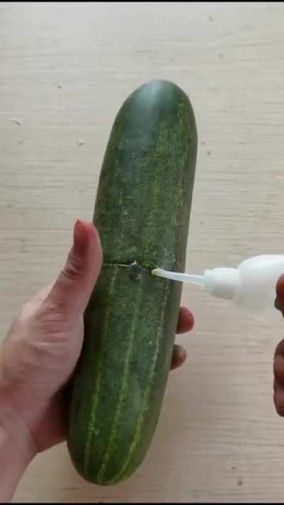 Vegetables!
