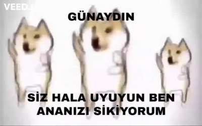 Alıştınız bence