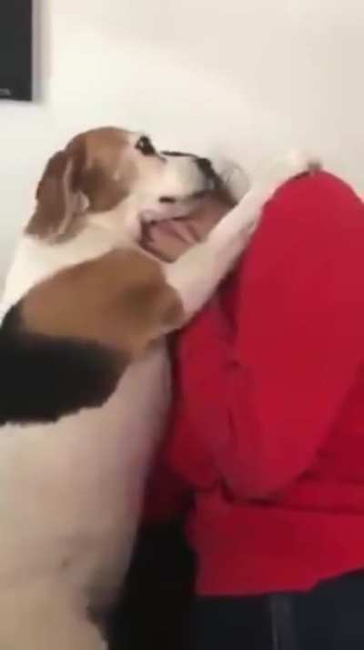 Dog comforts crying master - real emotion