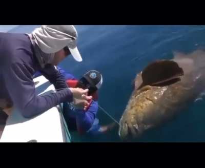 &ldquo;Hold onto the fish, he floats&rdquo;