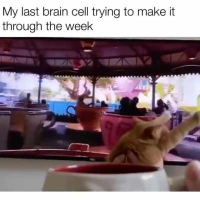 me_irl