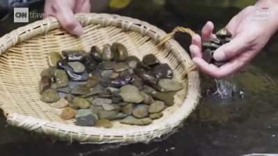 Stir-fried stones are China&acirc;s latest street food fad