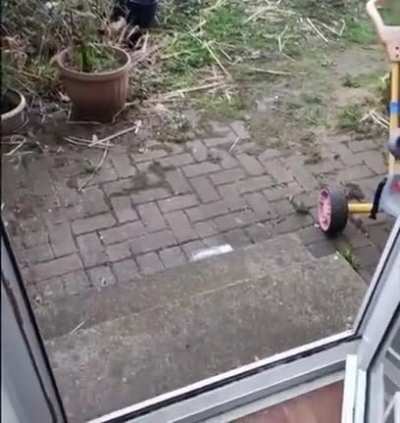 He&rsquo;s been training his entire life for this moment
