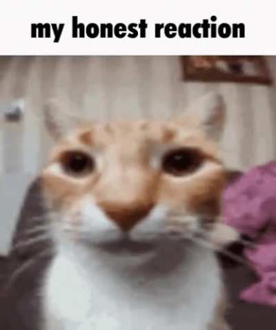 my reaction to watching the trailer for "the most triggering comedy of the year"