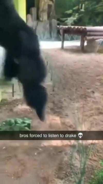 Monkey gone wild.
