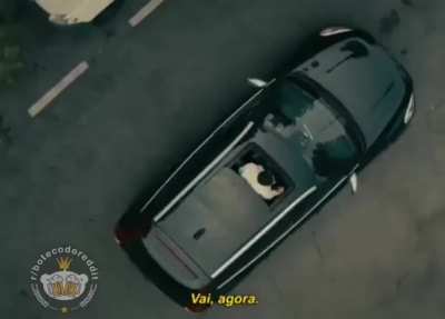 As panteras do L