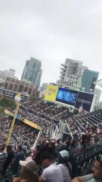 First time at a ball game. They said make some noise so I screamed
