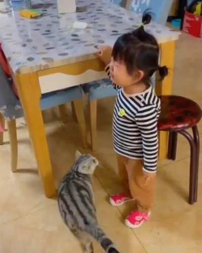 Protective Feline