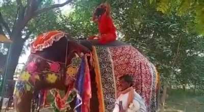 while doing yoga on an elephant