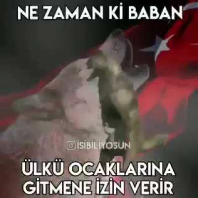 Hızlı hort 8