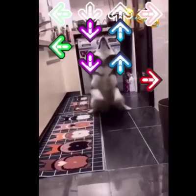 Dance off?