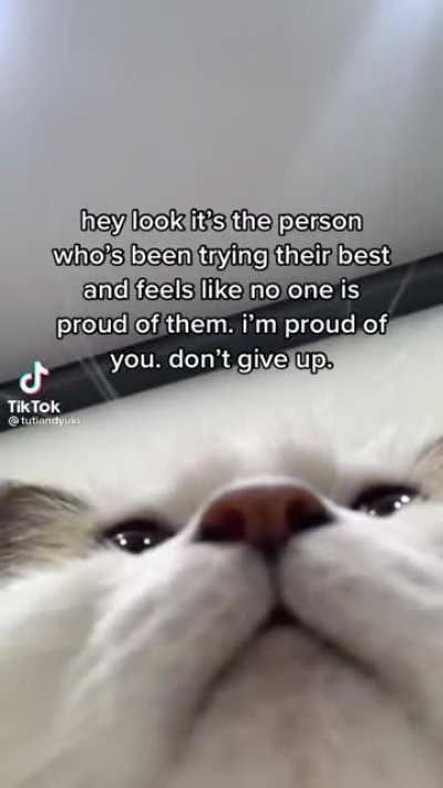 I'm proud of you 🥺