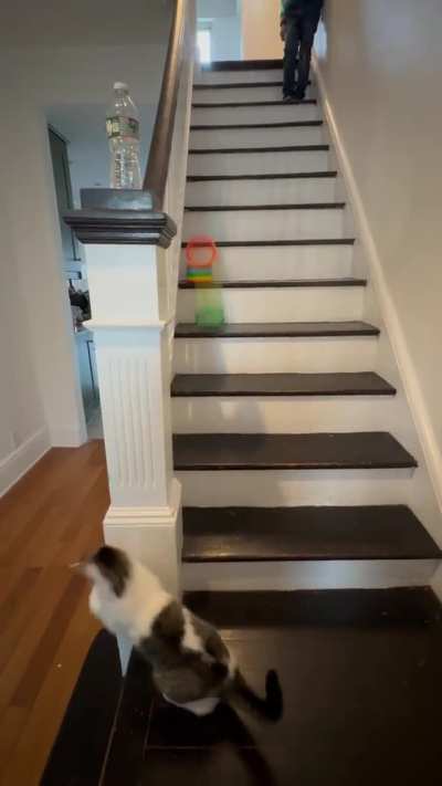 A slinky doing its thing...