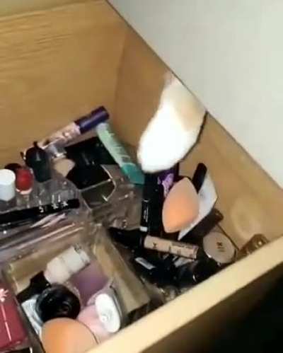 Need to look good in the dimension