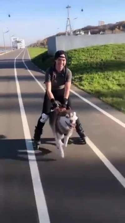 "HP" has always meant Husky Power