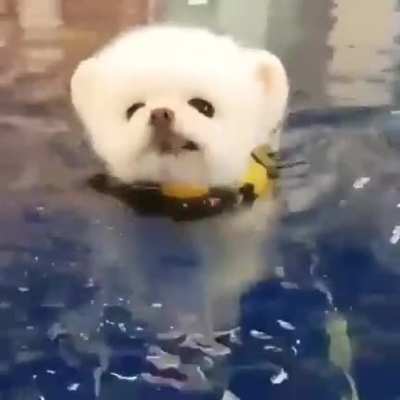 First Swim
