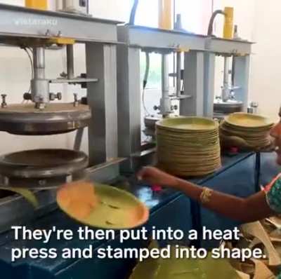 Plates that are made from leaves