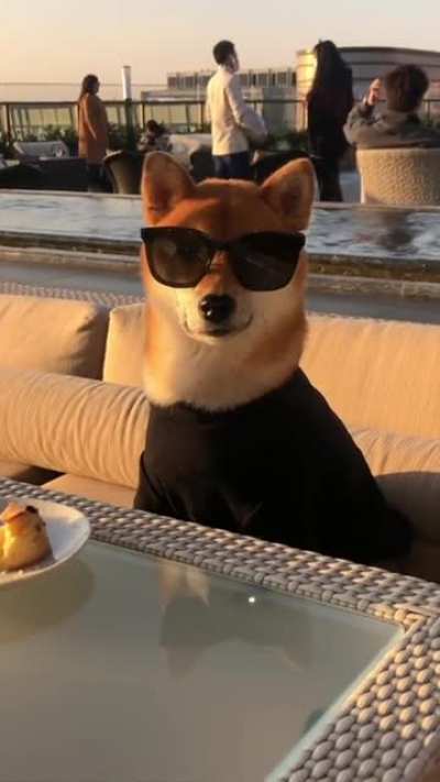 I&rsquo;m the boss.
