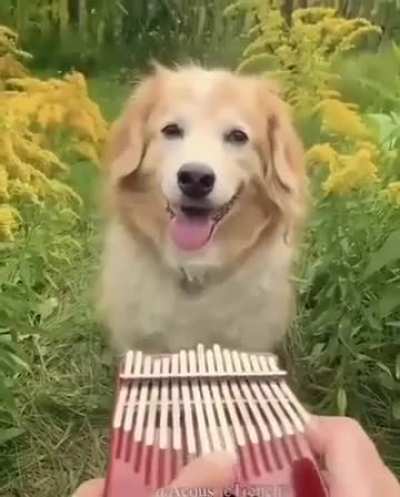 c: