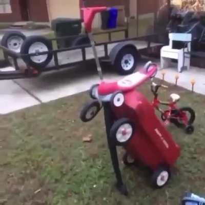 RoboBitch
