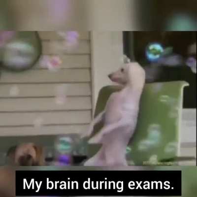 It's been a long semester.
