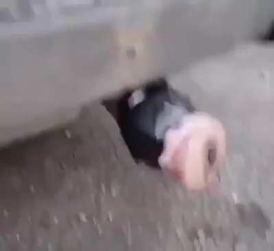 I&rsquo;m fucking crying, who the fuck did this lmao