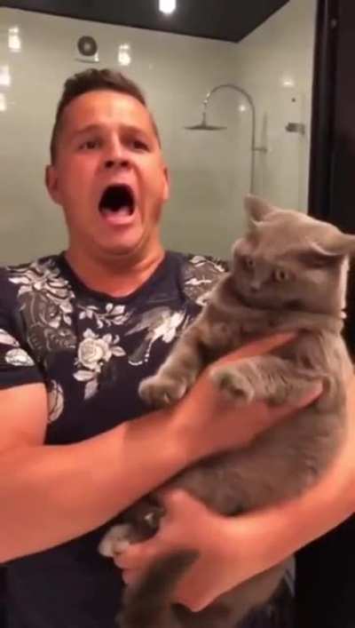 Human tried sound attack, it was super effective!