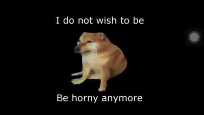 I Do Not Wish To Be Horny Anymore