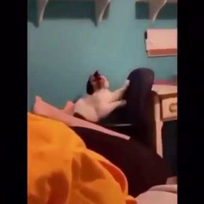 She has had enough