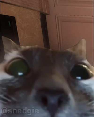 when it's 1v5 and you manage to get the defuser down
