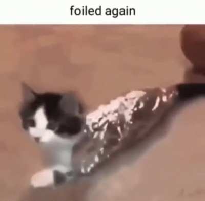 He was in fact foiled