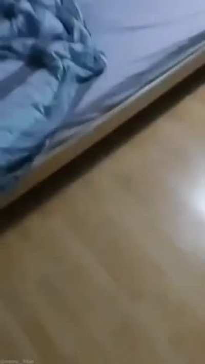 Always check your bed while going to sleep