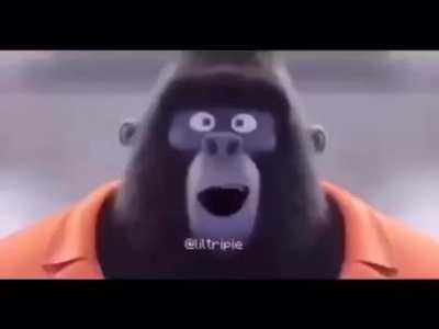 xd
